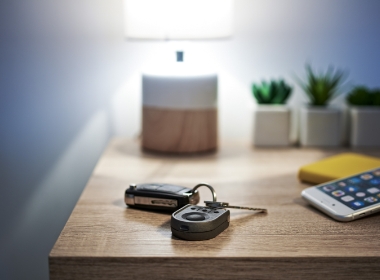 Option Connectes Porte Garage