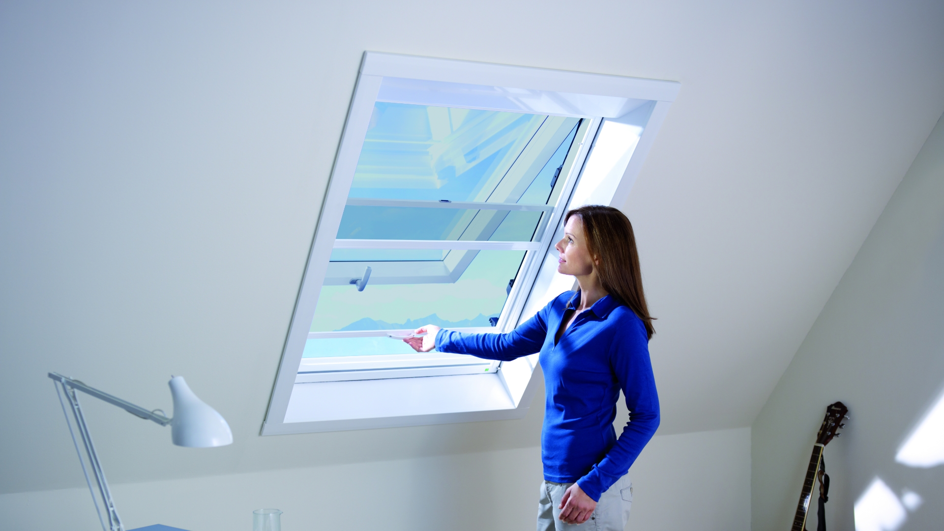 Volet moustiquaire Linconyl fenêtre velux
